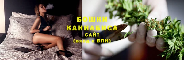 индика Бородино