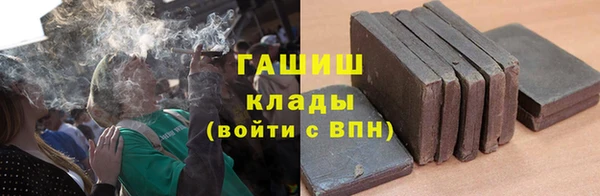 индика Бородино