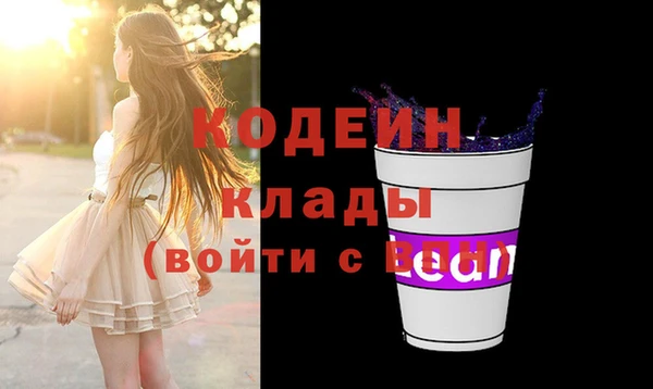 индика Бородино