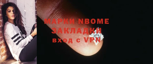 индика Бородино