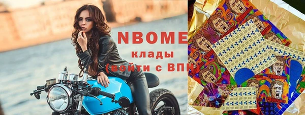 индика Бородино