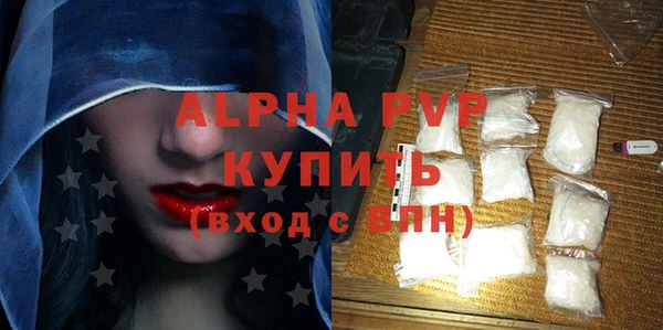 индика Бородино