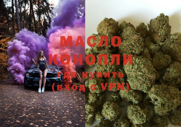 индика Бородино