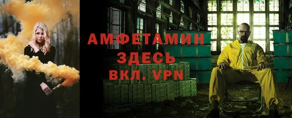 индика Бородино