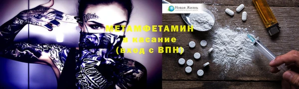 индика Бородино