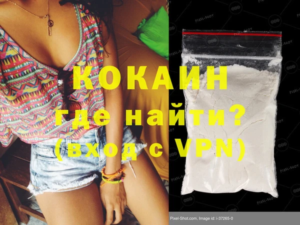 индика Бородино