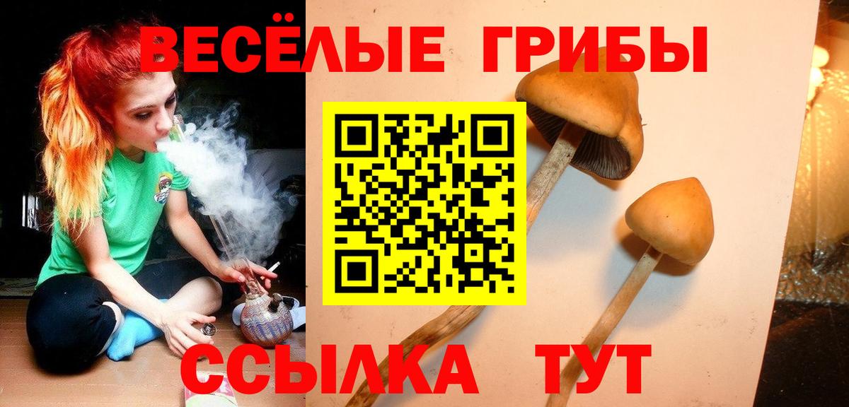 Галлюциногенные грибы мицелий  Вход с VPN  магазин    Обь 